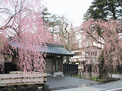🏯 가쿠노다테 사무라이 거리 (가쿠노다테 부케야시키도리) 이미지 5